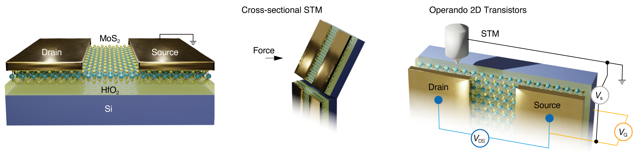 Gate-Tunable XSTM schematic: MoS₂ transistor, cross-sectional preparation, and STM measurement with gate and drain-source voltages.
